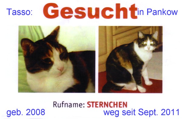 2011-Tasso-Sternchen-m