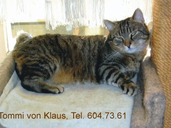 640-T-Max-v-Klaus-1705-2