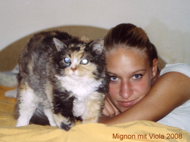 Mignon-Viola-T-2008-best
