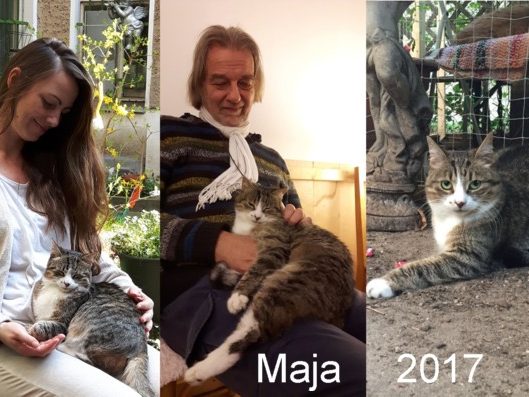 640-Maja-Jo-Jasmin-2017