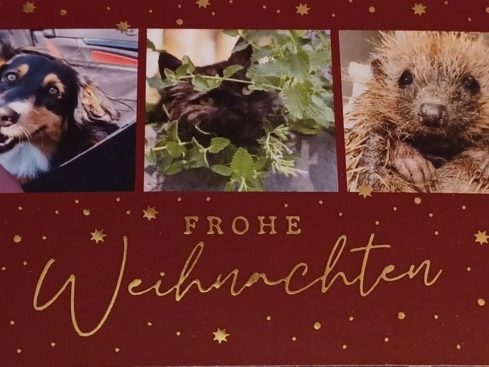 640-2023-12-21_Gruß-v-Michaela